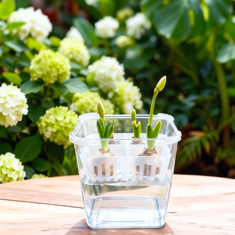 Hydroponische Vase für Tulpen- – Vase Decor Bewertung und Preis