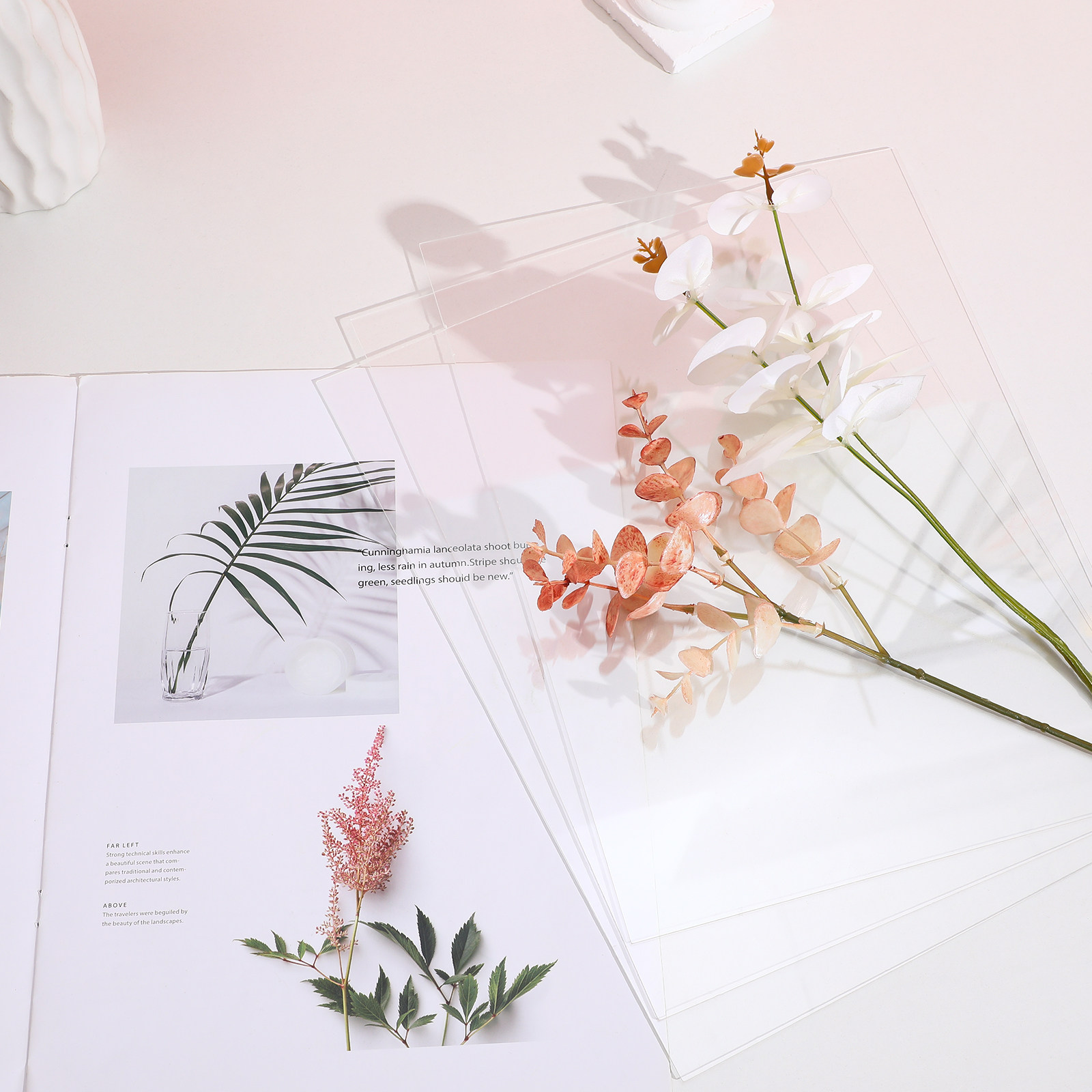 10 Stück transparente Kunststo – Picture Frame Bewertung und Preis
